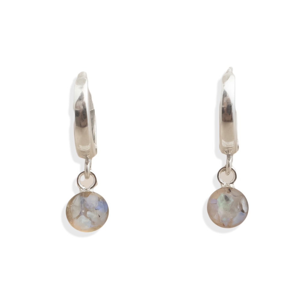 New IN