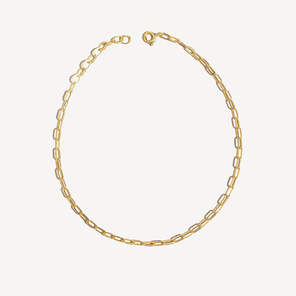 Paperclip Anklet