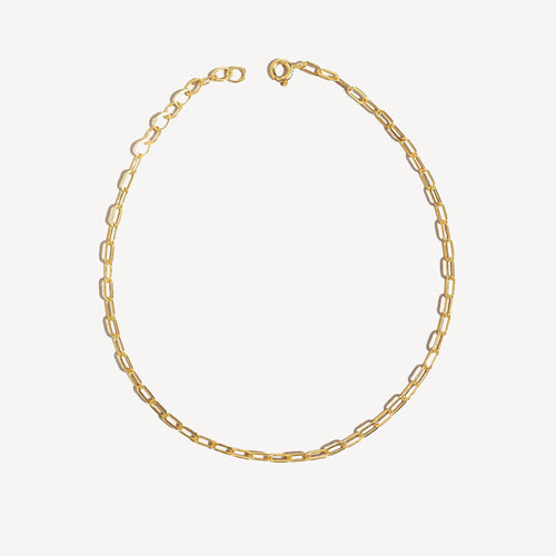 Paperclip Anklet